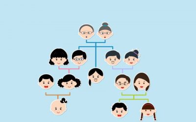 Tracing Basque Genealogy: Kidneys, Family Trees, and the Dangers of Donkeys
