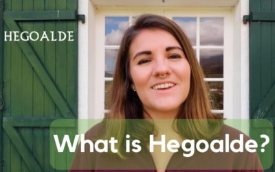 What Is Hegoalde?