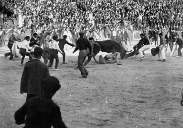 Basque Festival Running of the Bulls