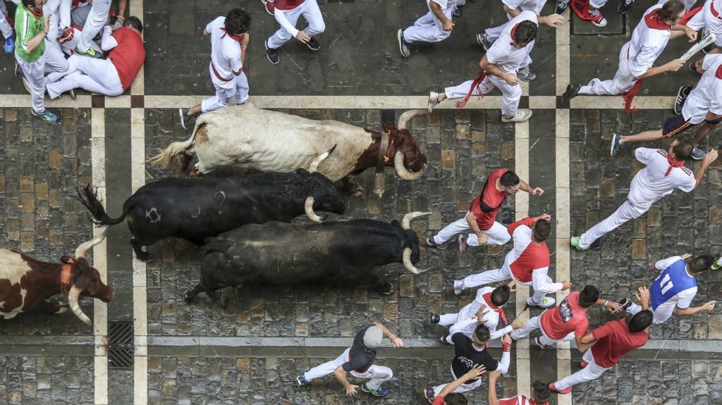Basque Festival Running of the Bulls