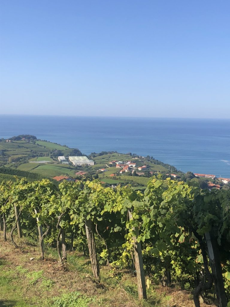 Txakoli Vineyards