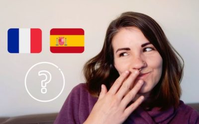 Are the Basques French or Spanish?