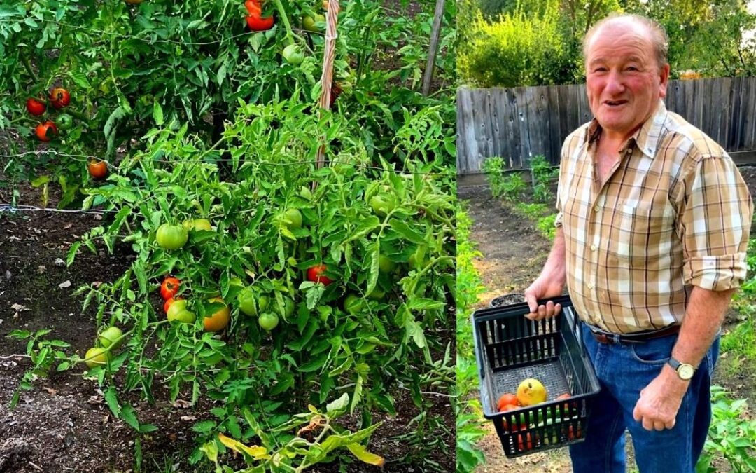Aita’s Garden Tour